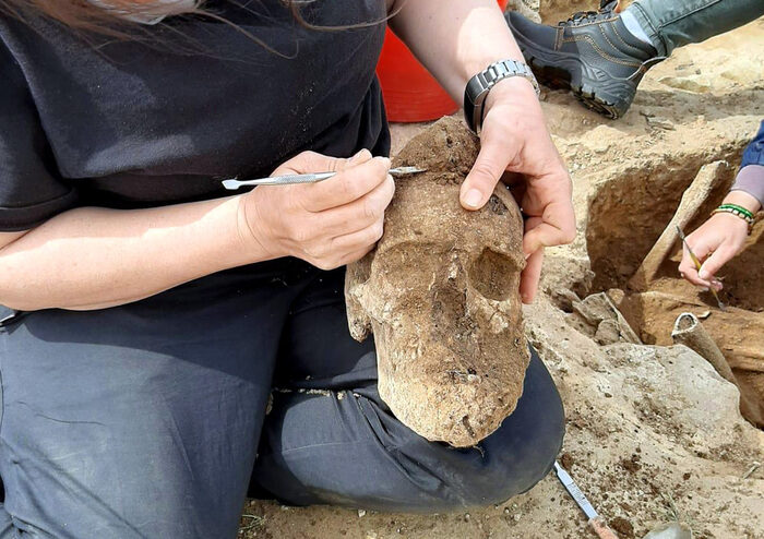 Ancient Skull