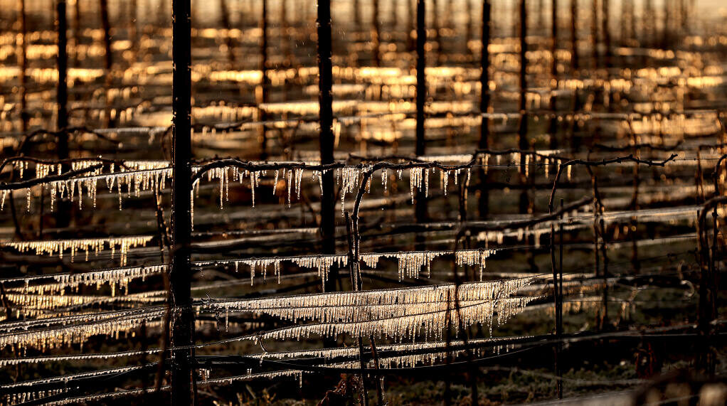 Click to enlarge Frost protection measures