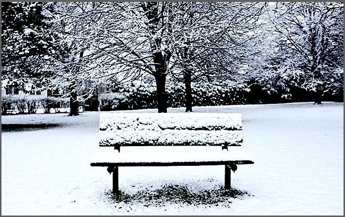 Click to enlarge parkbench