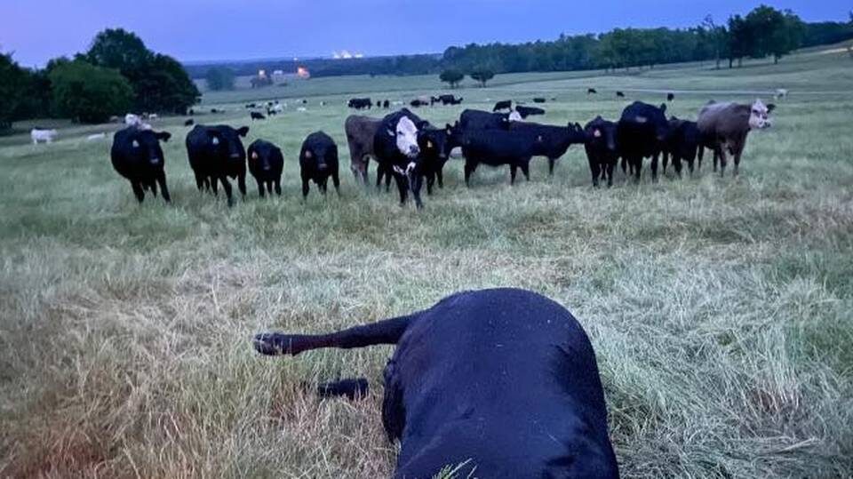 The Autauga Farming Company in Alabama