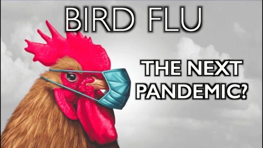 Bird flu pandemic