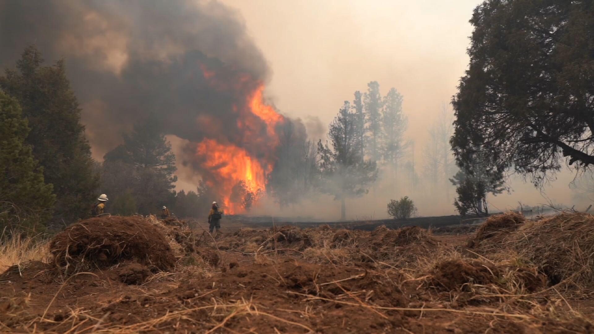 A wildfire in northern New Mexico
