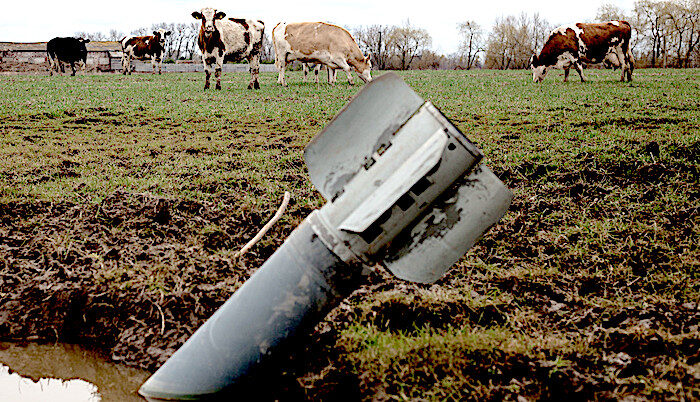 Click to enlarge Rocket cows