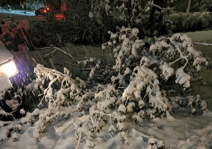 Colorado Springs area gets buried under heavy spring snow