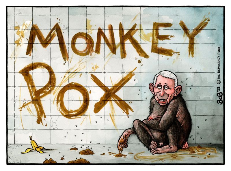 Click to enlarge Monkey Pox