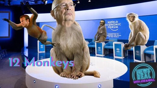 monkeys WEF schwab newsreal monkeypox