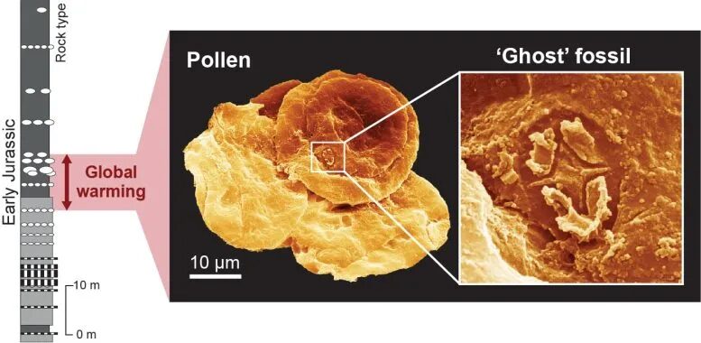 ghost fossils pollen