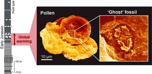 ghost fossils pollen