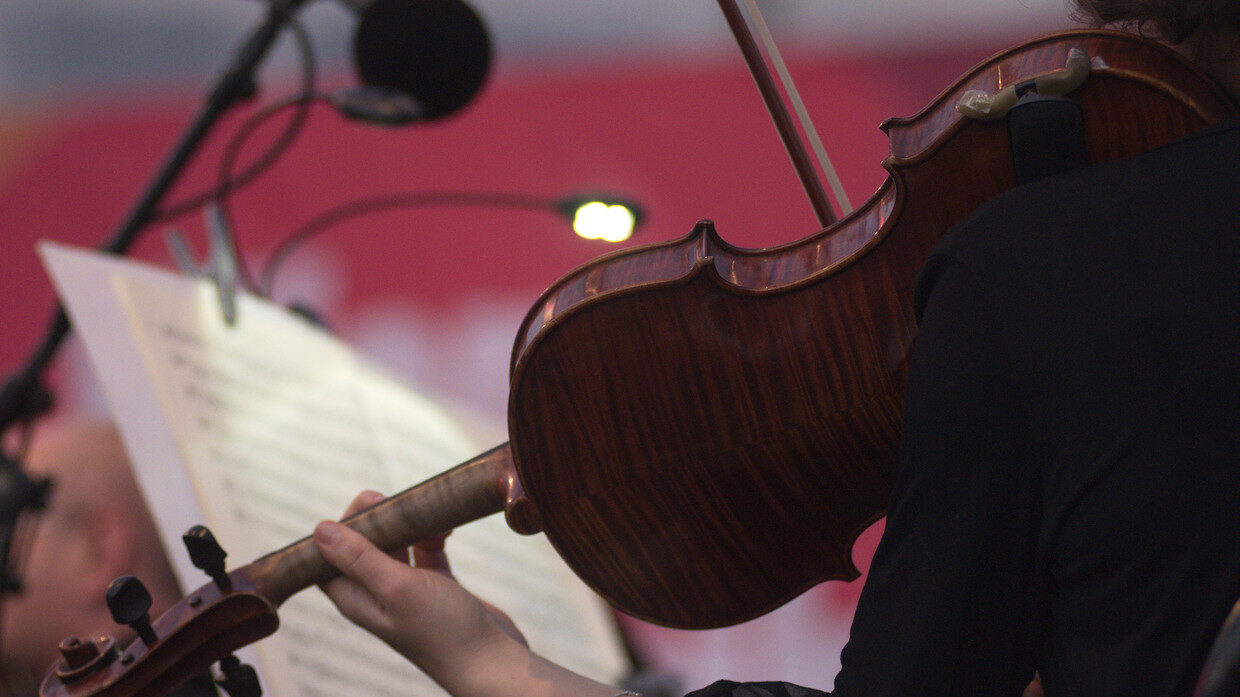 Violin