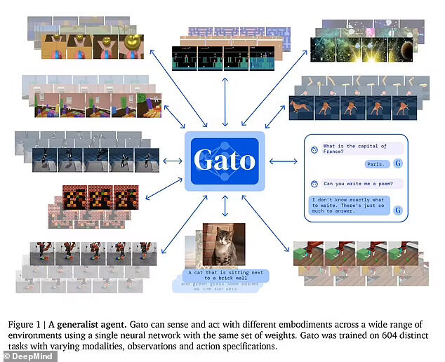 Click to enlarge Gato