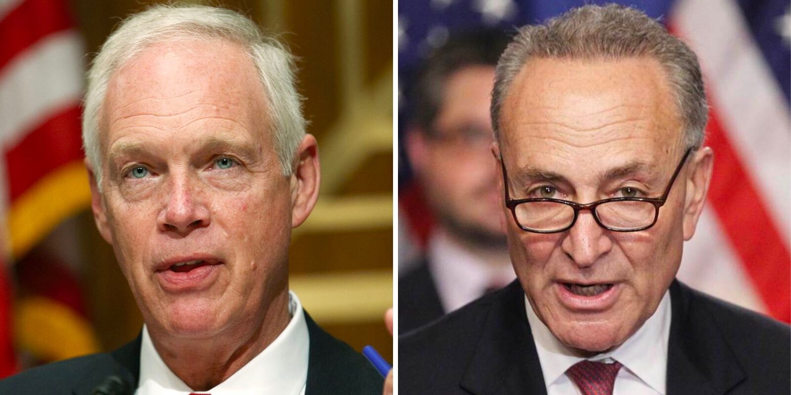 johnson schumer