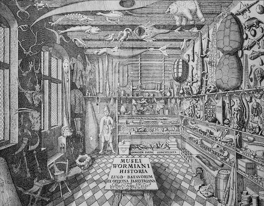Click to enlarge Musei Wormiani Historia magic alchemy