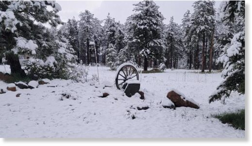 Parts of Colorado wake up to fresh June snow