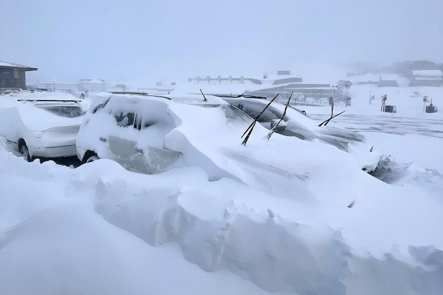 Click to enlarge Snow covered vehicles at Perisher Resort in the NSW Snowy Mountains yesterday.