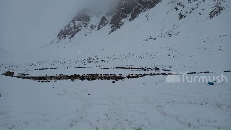 SNOW