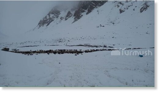 SNOW