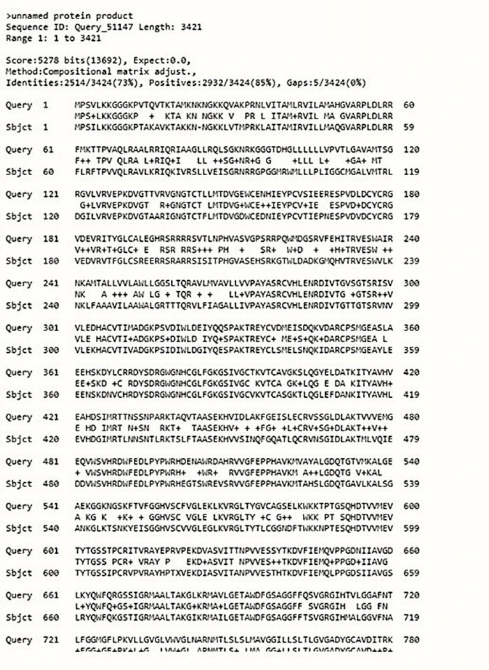 Query page