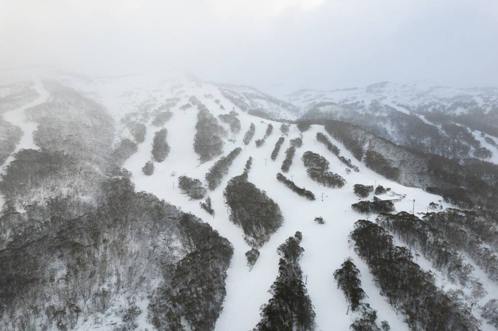 Click to enlarge A drone shot of the empty, beckoning snow-covered Thredbo runs ahead of the opening weekend ahead.