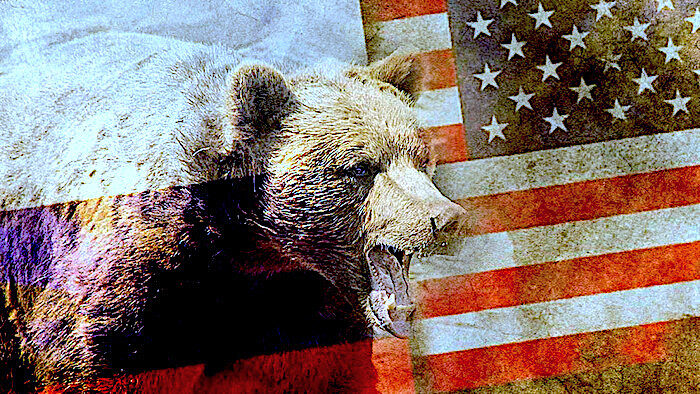 Click to enlarge Bear/Flags