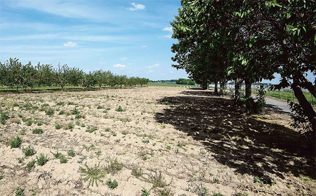 drought italy