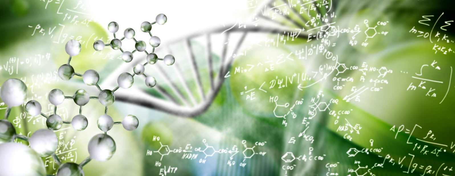 dna information theory intelligent design