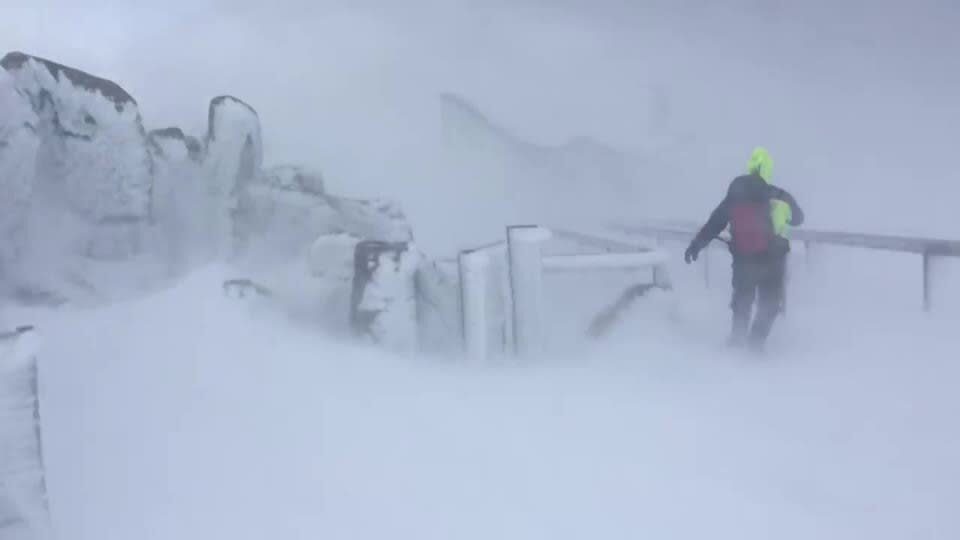 blizzard