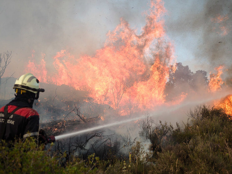 A firefighter holds a hose to put out the forest fire near the NA-132 road in Tafalla.