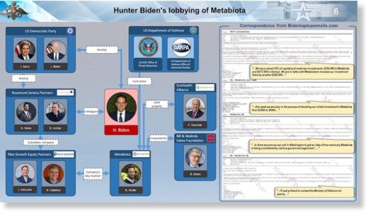 Hunter Biden’s lobbying of Metabiota