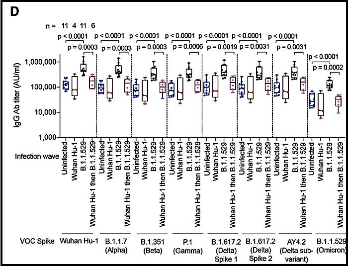 chart D