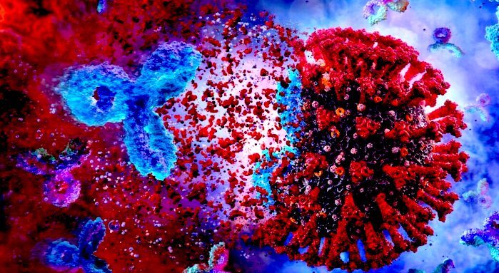 Antibody