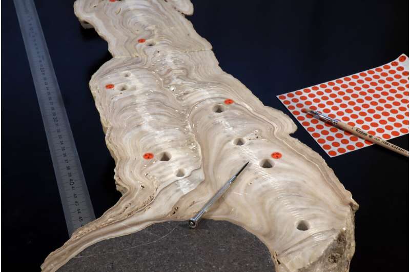 Stalagmite