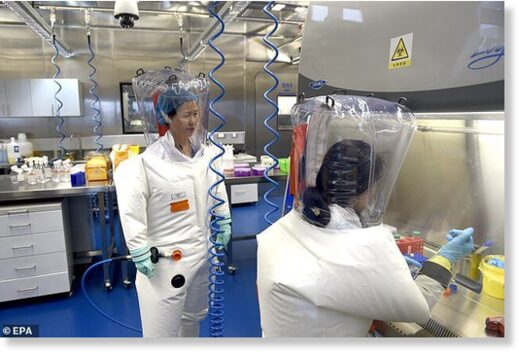 wuhan lab