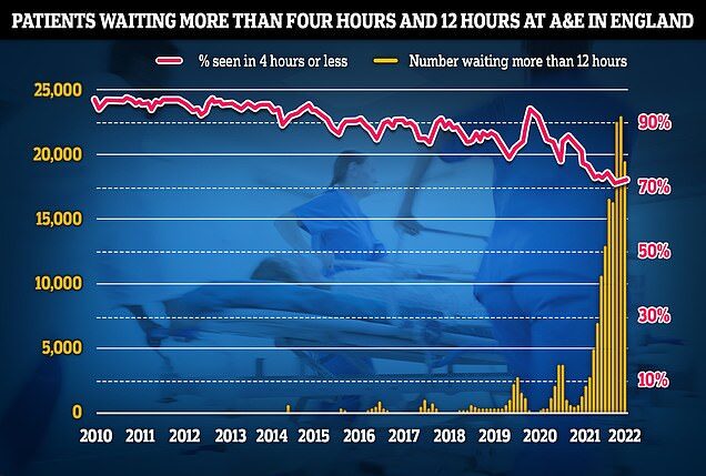 Click to enlarge daily mail telehealth 3