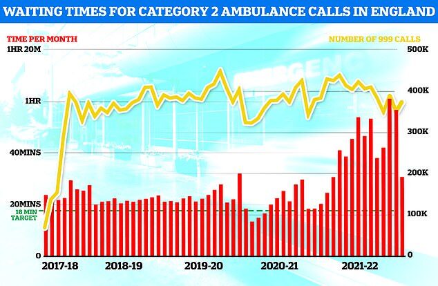Click to enlarge daily mail telehealth 4