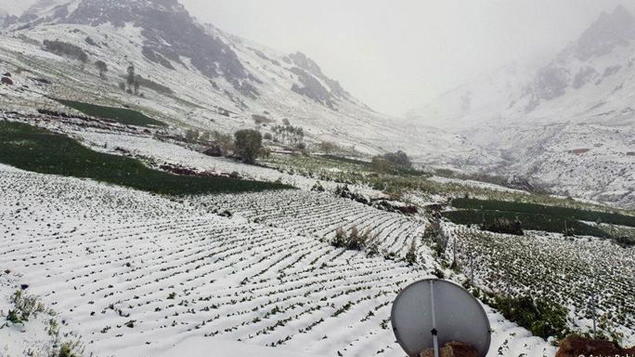 Click to enlarge snow