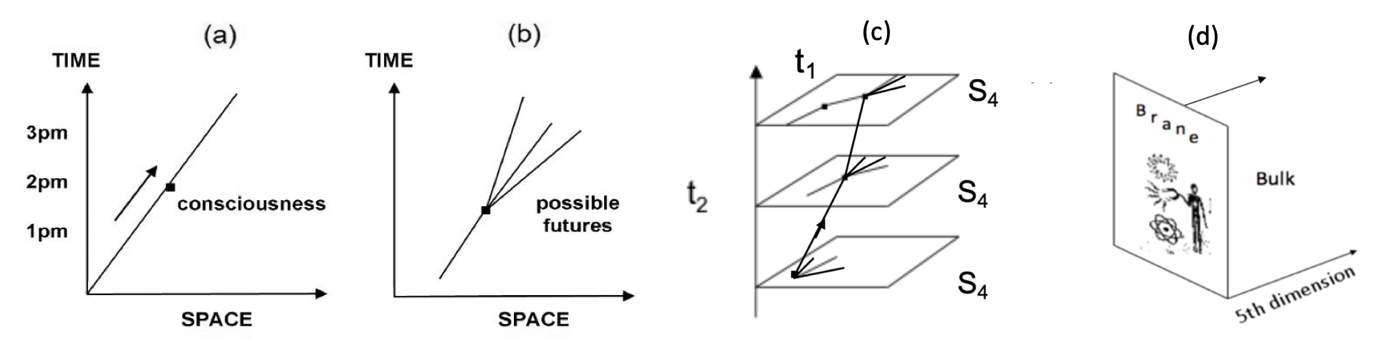 time consciousness