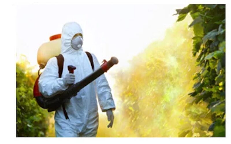 Monsanto Corporation
