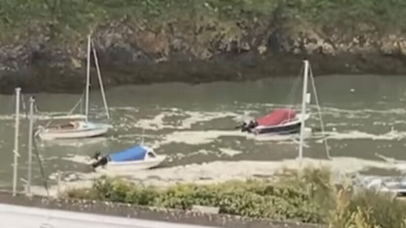 Click to enlarge solva harbour wales meteotsunami