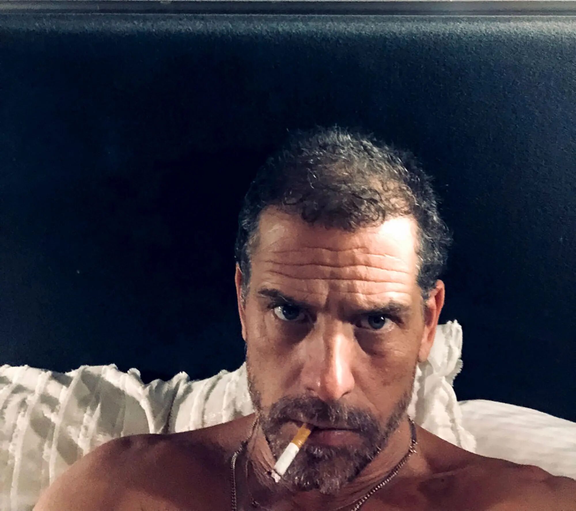 Click to enlarge hunter biden