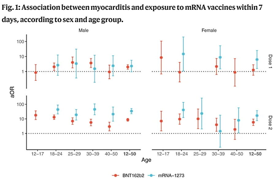 vaccination myocardities sex age groups