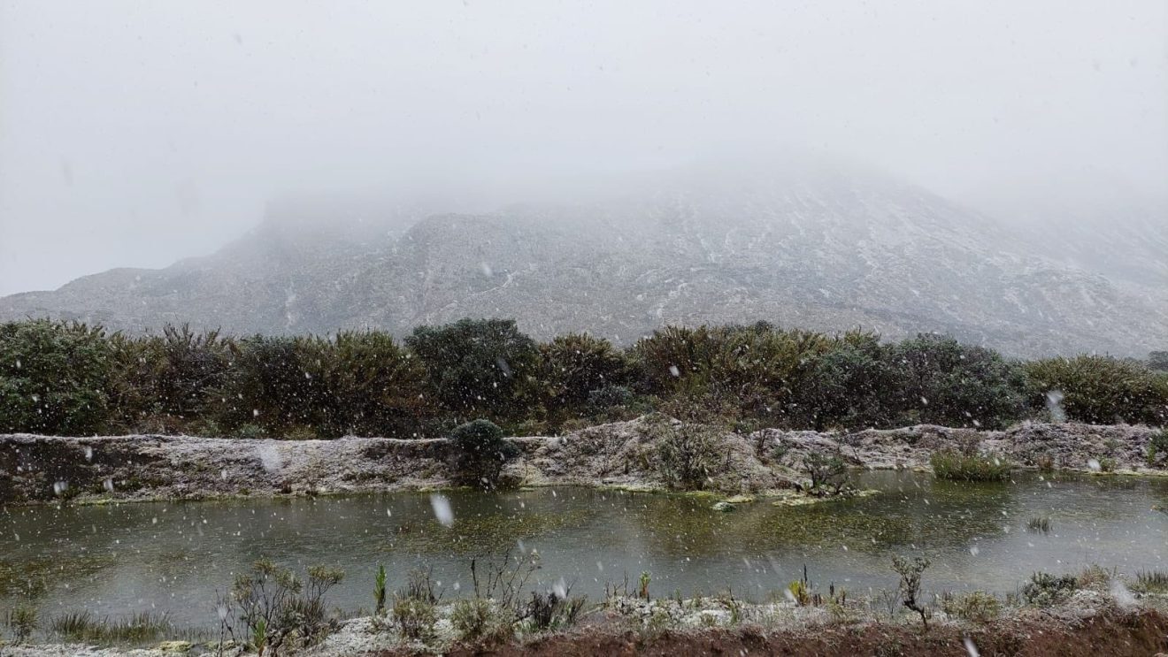 Click to enlarge photo of snow coming down at Sumapaz National Park last Friday.