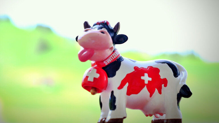 Click to enlarge Swiss cow