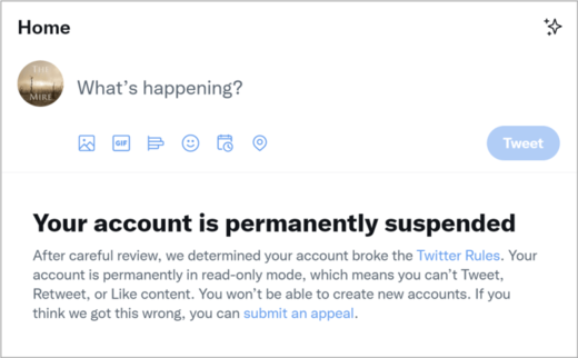 twitter suspension