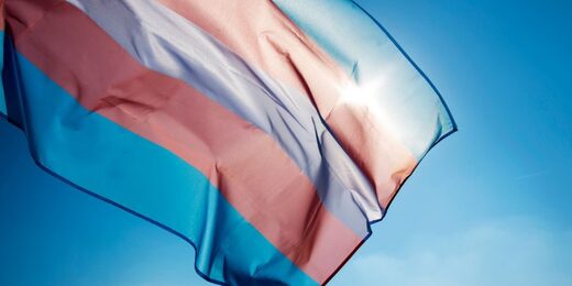 trany flag transgender
