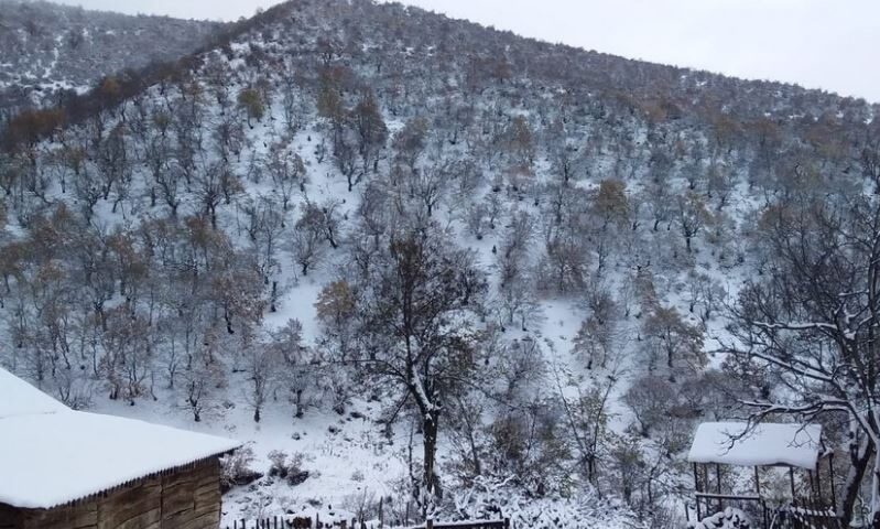 snow