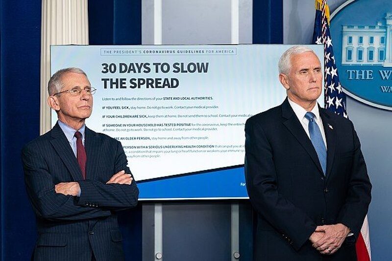 Click to enlarge Fauci Pence