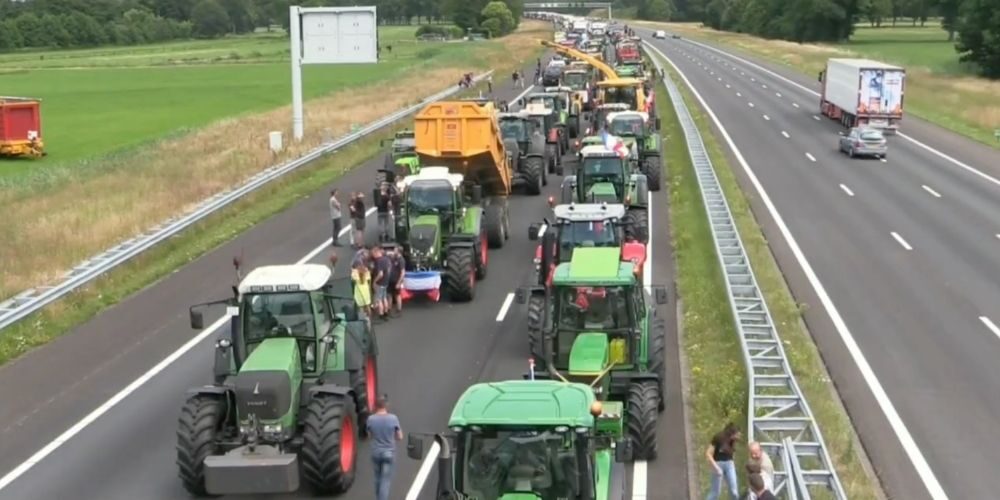 dutch farmer protest