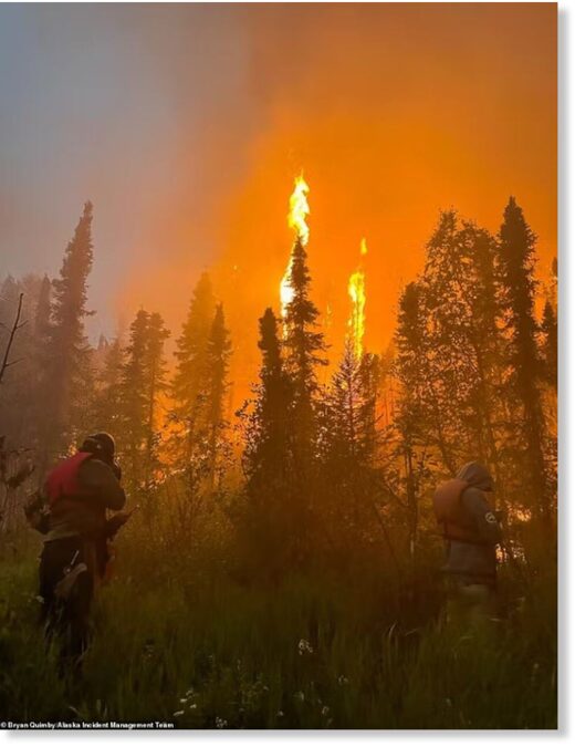 Click to enlarge Drought, extreme temperatures and thousands of lightning bolts each day have created the perfect storm for wildfires Alaska's interior. Pictured is a wildfire that has burned 780,000 acres near Lime Village, Alaska
