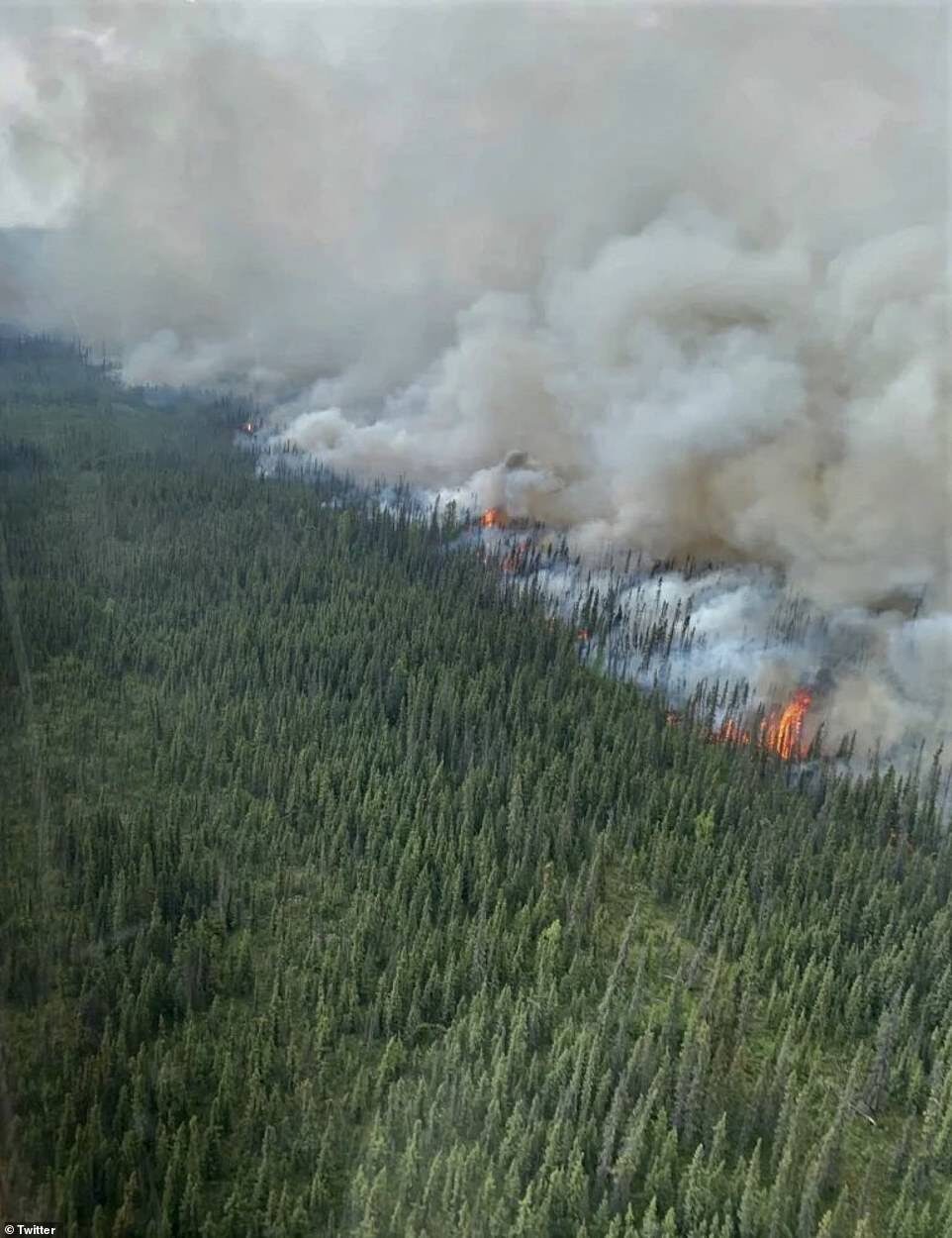 Click to enlarge More than 2.4 million acres have burned this year, which is double the land that is typically scorched at this point in the state's wildfire season. Pictured is the Minto Lakes Fire that has burned more than 30,000 acres