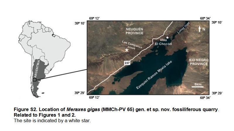 Click to enlarge Meraxes gigas dinosaur tiny arms excavation location